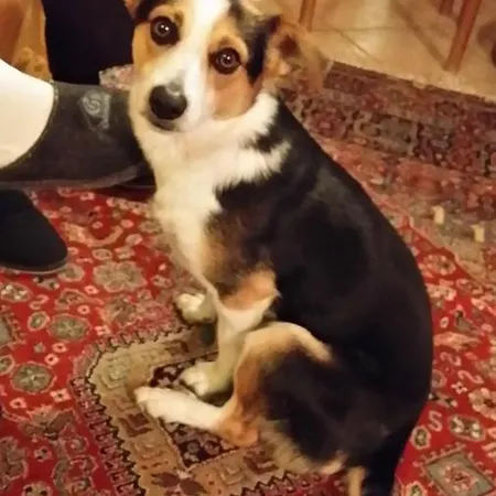 Casa Margherita Villar San Costanzo