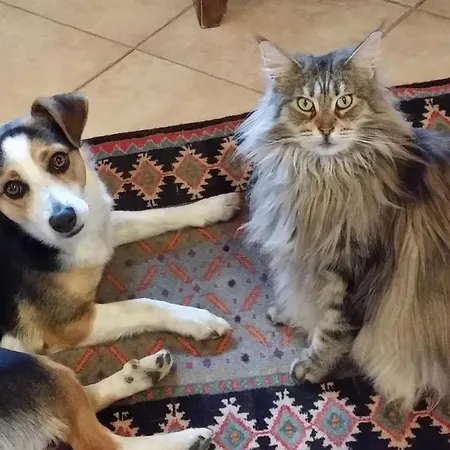 Casa Margherita Villar San Costanzo