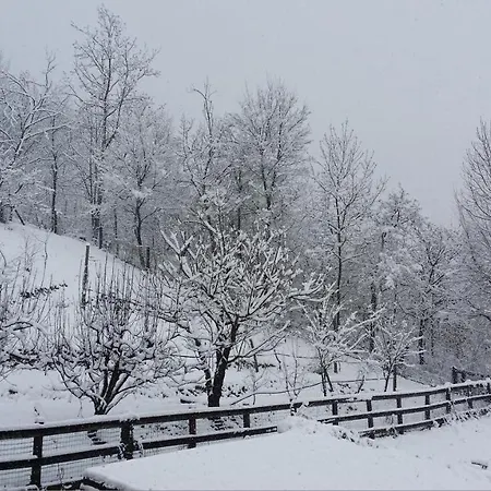 Casa Margherita 4* Villar San Costanzo