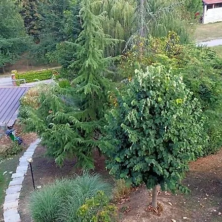 Casa Margherita 4*